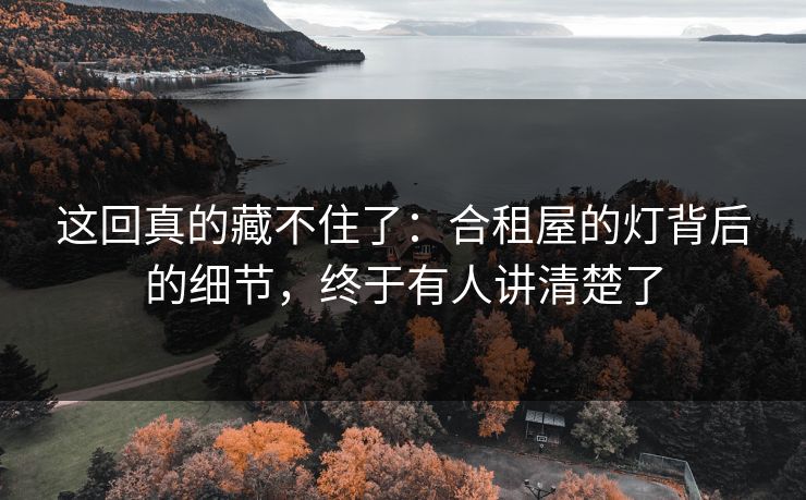 这回真的藏不住了：合租屋的灯背后的细节，终于有人讲清楚了